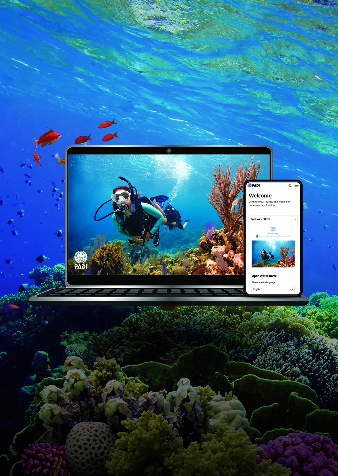 PADI eLearing Warm Water